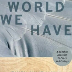 The World We Have Cover - Thich Nhat Hanh