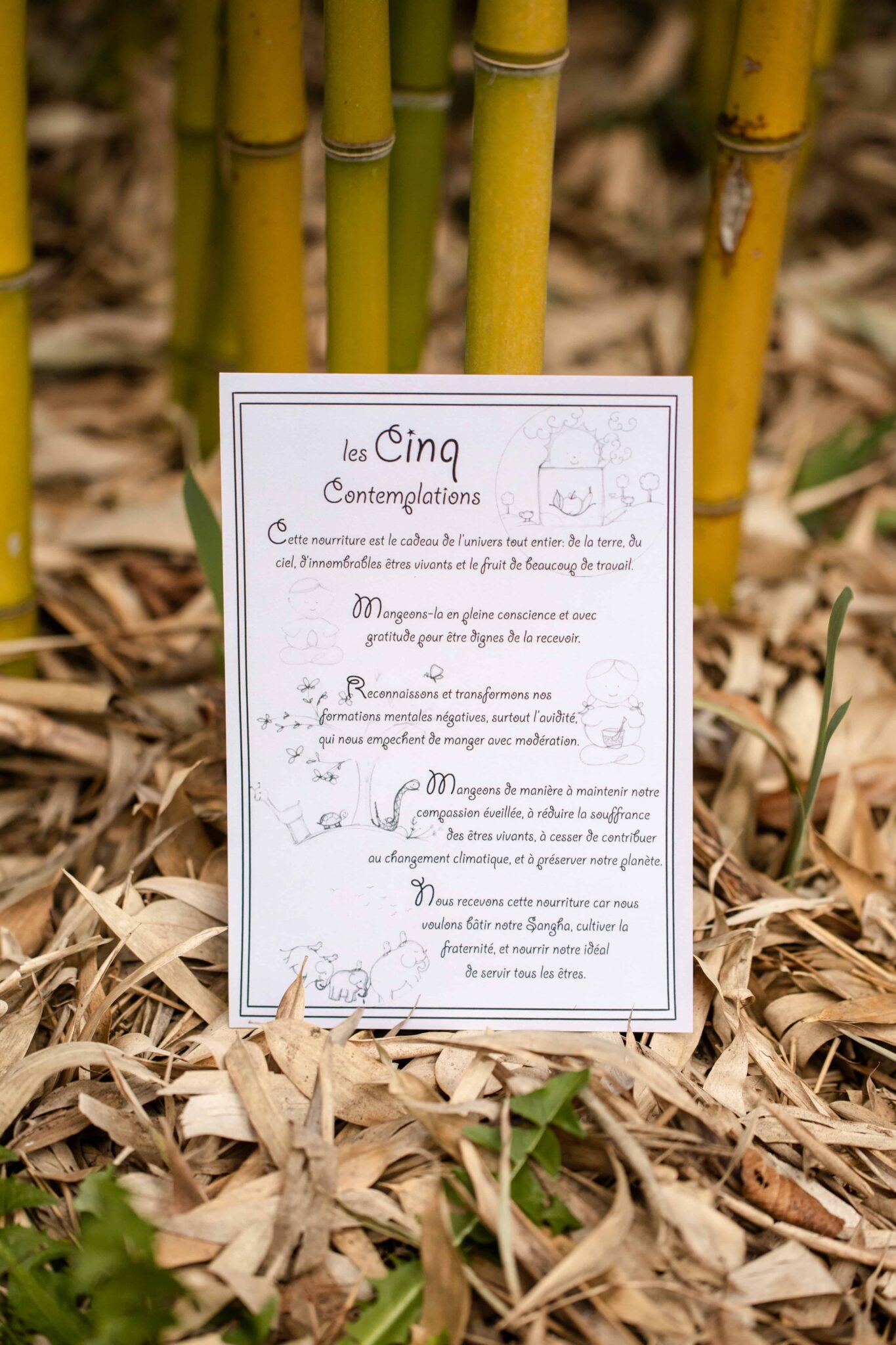 Les 5 contemplations The Plum Village Shop