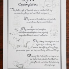 Plum Village Five Contemplations in English