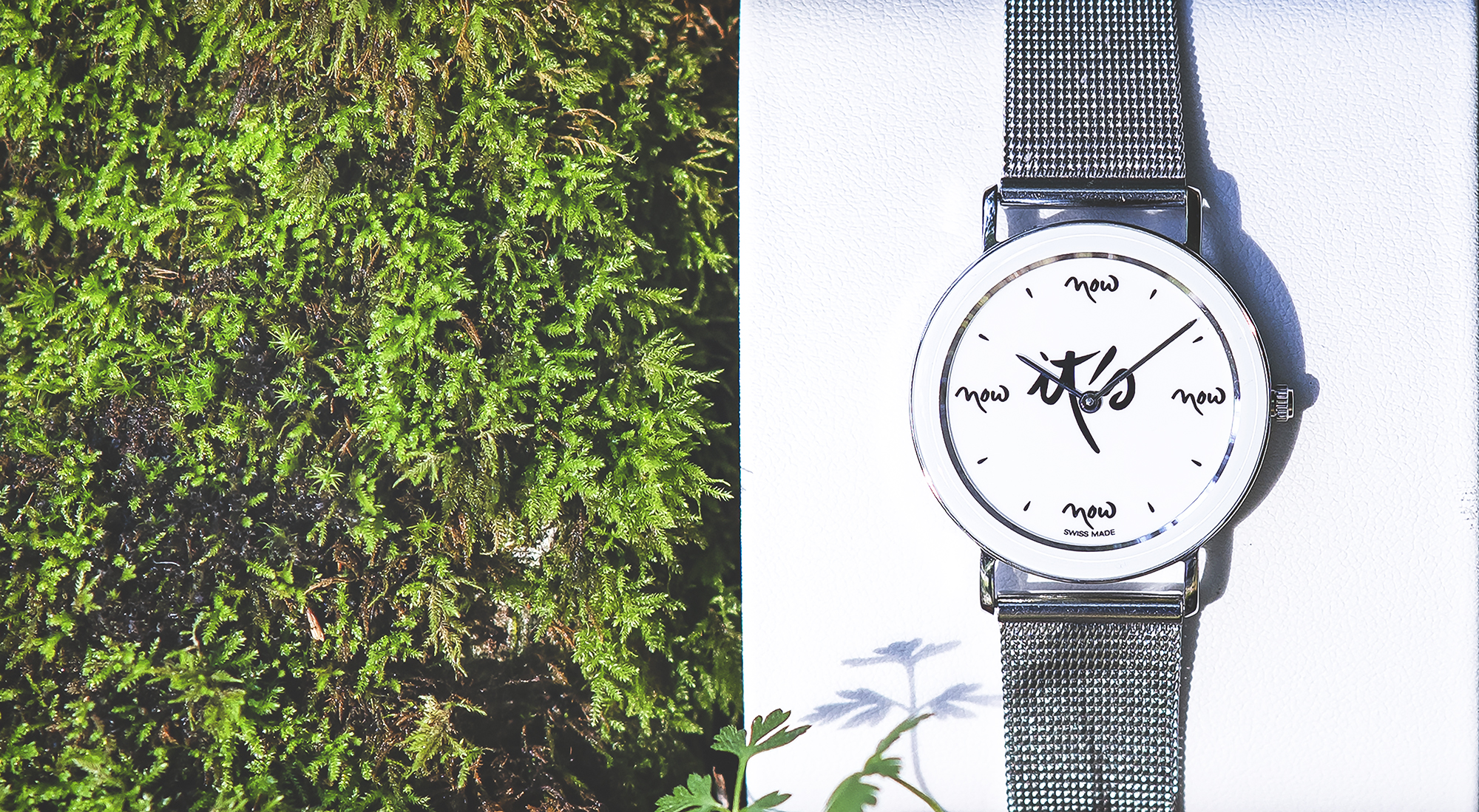 Plum Village Watch