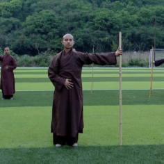 the 16 Qi Qong movements practiced by Plum Village monastics