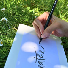 Plum Village calligraphy brush pen  with a serene, mindful setting