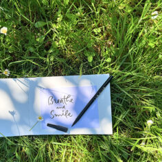 Plum Village calligraphy pen resting on a the grass with ink and paper