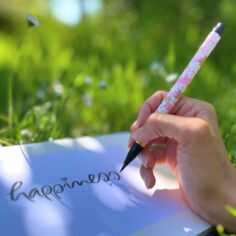 Plum Village Flower Brush Pen for Calligraphy