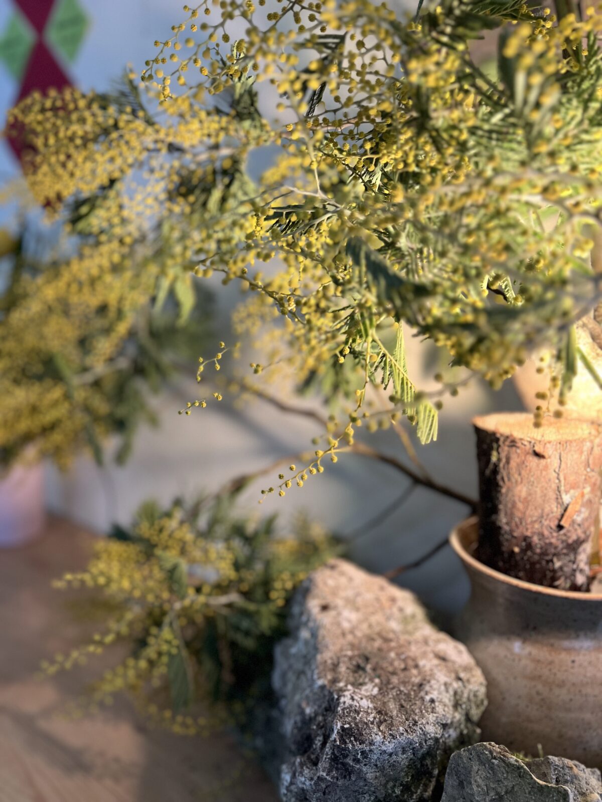 Mindful decoration with living plants as a reminder of our connection to nature 