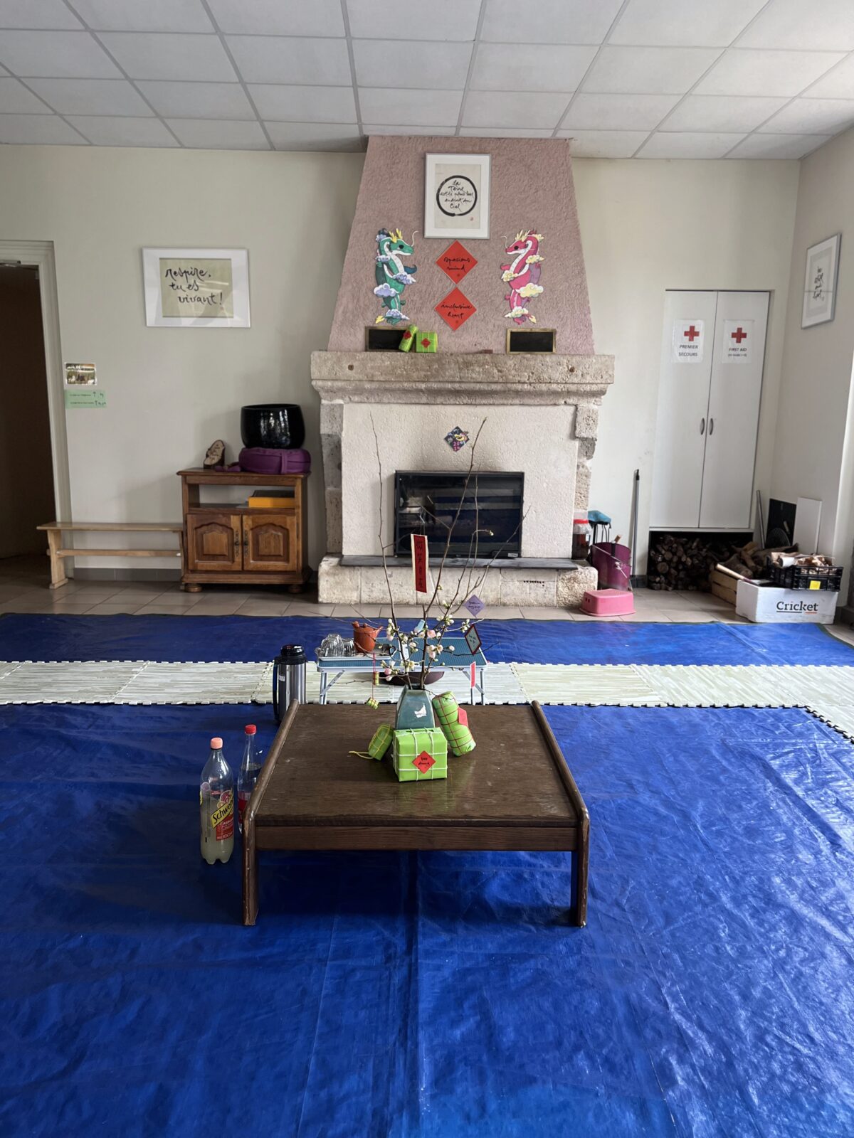 Living room in New Hamlet 
