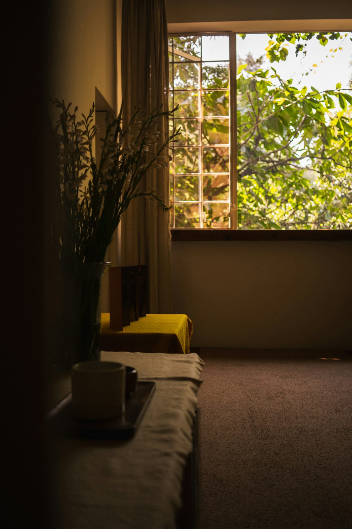 Living room focal point ideas using natural window view and minimal furniture arrangement for mindful living