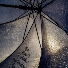 Close-up of The Tears I Shed yesterday Have Become Rain calligraphy on recycled RPET polyester canopy of Plum Village umbrella in gentle light