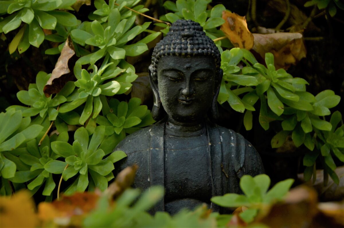 Advanced books by Thich Nhat Hanh including The Other Shore, The Sun My Heart, and Understanding Our Mind for deep Buddhist philosophy and meditation study