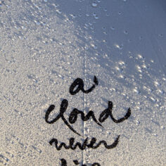 Close-up of A Cloud Never Dies calligraphy on recycled RPET polyester canopy of Plum Village umbrella in gentle light; Détail de la calligraphie Un nuage ne meurt jamais sur la toile recyclée du parapluie