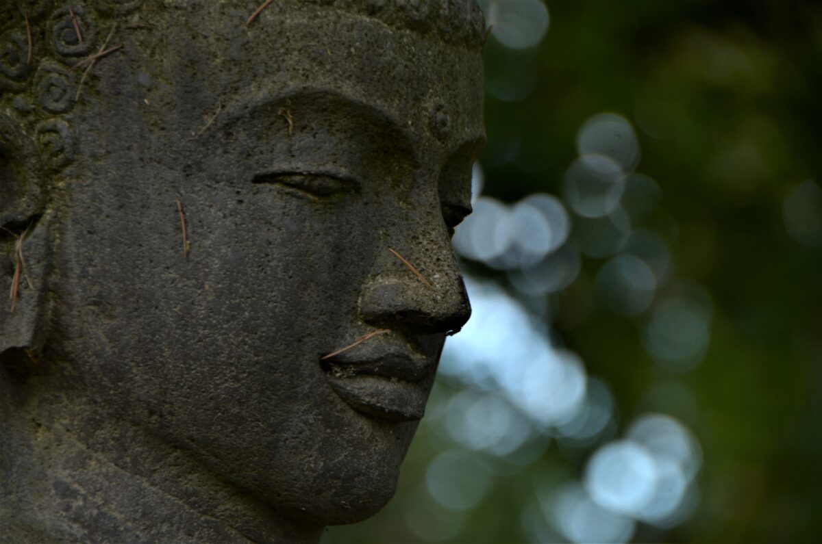 Studying Tich Nat Han books on Buddhism philosophy, The Heart of the Buddha's Teaching and Understanding Our Mind for advanced mindfulness practice